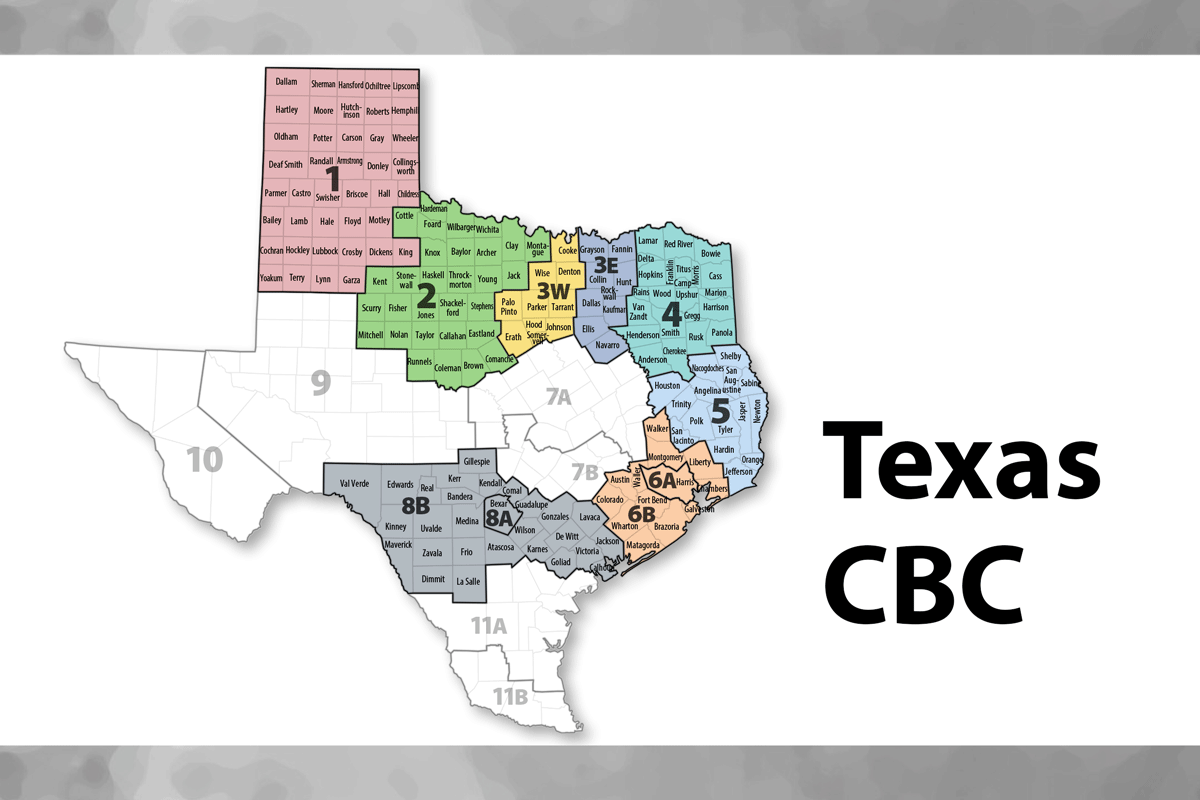 Participate in a Virtual CBC Focus Group